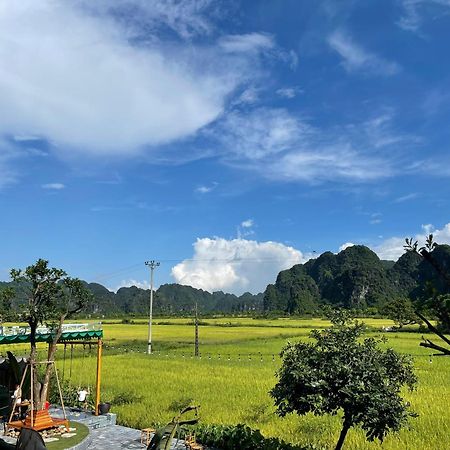 Tam Coc Windy Fields Villa Ninh Binh Eksteriør billede