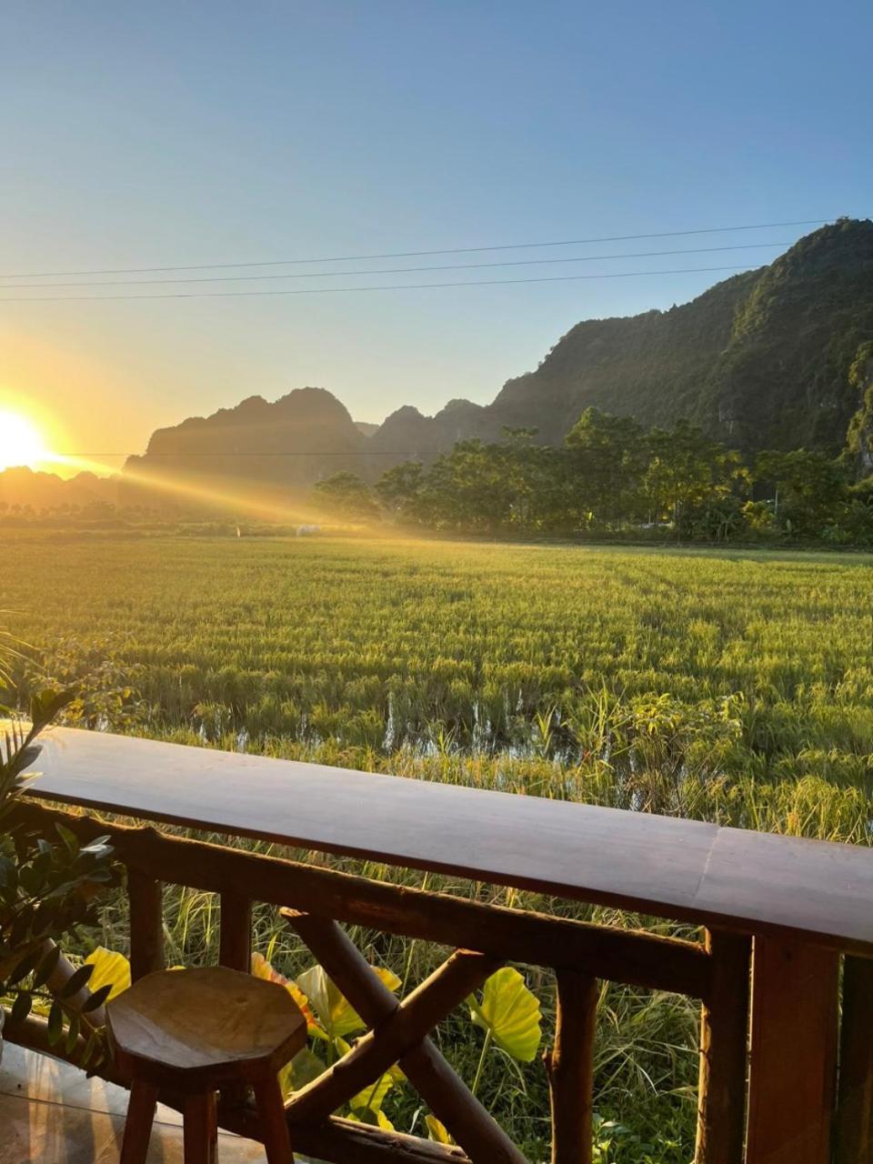 Tam Coc Windy Fields Villa Ninh Binh Eksteriør billede